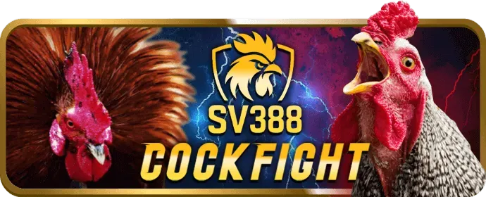 Bắt Đầu Săn Cá